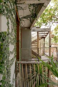 a balcony with ivy on the side of a building at Villa Mango Jeri in Jericoacoara
