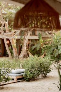 a garden with a tree and a bench in front of a building at Villa Mango Jeri in Jericoacoara