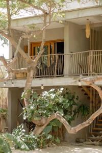 a house with a staircase and a tree at Villa Mango Jeri in Jericoacoara