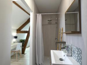 a bathroom with a shower and a sink and a mirror at Gîte pittoresque avec nature, Wi-Fi, BBQ et terrasse privée - FR-1-581-113 in Belhomert-Guéhouville +27 photos