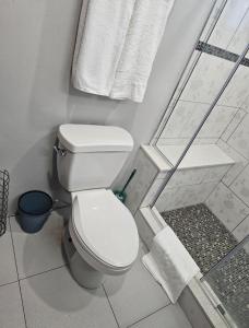 オーチョ・リオスにあるSecret Hideawayのバスルーム(トイレ、シャワー、タオル付)