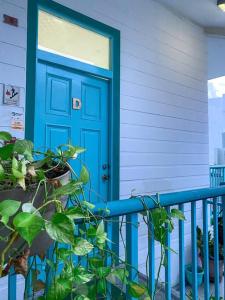 eine blaue Tür auf einem Haus mit Pflanze in der Unterkunft Luminoso y Acogedor Apto en Casco Viejo c/balcón in Panama-Stadt