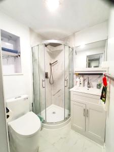 uma casa de banho com um chuveiro, um WC e um lavatório. em New Renovated Cozy Bedroom with Private washroom em Toronto