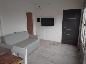 a living room with a couch and a flat screen tv at Cardo Ruso Cabaña in Toay