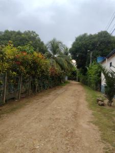 Cabañas OnBeach外面的花园