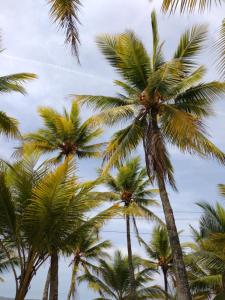 圣安特罗Cabañas OnBeach的相册照片