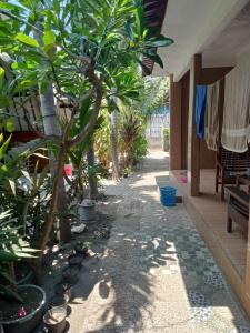 a courtyard with trees and plants in a house at Mirna Homestay in Gili Air