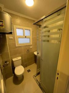 y baño pequeño con aseo y ducha. en High quality apartment Madinty en El Cairo