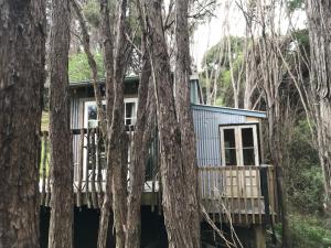 a cabin in the woods with trees at Kanuka Retreat in Akaroa