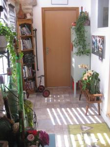 un pasillo con puerta y una habitación con plantas en Au Pied de la Roche, en Roche-en-Régnier