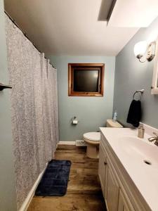 ein Bad mit einer Dusche, einem WC und einem Waschbecken in der Unterkunft First floor Buffalo/Niagara Apt close to stadium in Depew