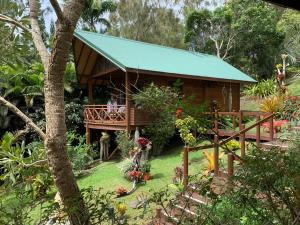 a wooden house with a green roof in a garden at Le Nirvana - Oasis de Tendéa - Farino in Farino