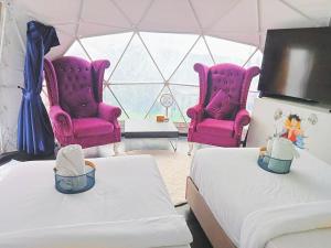 2 rosa Stühle und ein Bett in einem Zelt in der Unterkunft Black Diamond Camping in Khao Kho