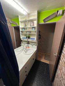 La salle de bains est pourvue de 2 lavabos et de murs verts. dans l'établissement Studio situé au pied des pistes de LaBresse, à La Bresse