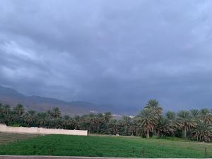 un campo con palmeras y un cielo azul en بيت نُزل السلام Bait Salam inn, en Al Ḩamrāʼ