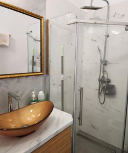 La salle de bains est pourvue d'un lavabo en bois et d'une douche. dans l'établissement Christa Central 1, à Sibiu