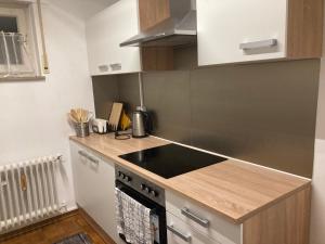a kitchen with a stove and a counter top at 2 room apartment with parking in Stuttgart in Stuttgart