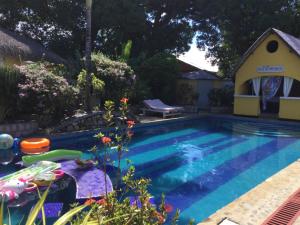 a swimming pool in a yard with a dog house at Superbe Studio + terrasse privée « le Clair de l’une » in Nosy Be +15 photos