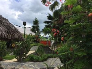 a garden with a bunch of plants and trees at Superbe Studio + terrasse privée « le Clair de l’une » in Nosy Be