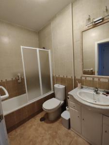 łazienka z toaletą, umywalką i lustrem w obiekcie L' Azotea del Sol appartement typique w mieście La Puebla