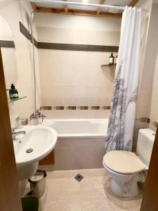 a bathroom with a sink and a toilet and a bath tub at Blue Apartment Pirin Golf & Spa in Bansko