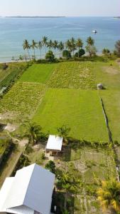 - une vue aérienne sur un champ planté de palmiers et l'océan dans l'établissement The Daun Puntik HomeStay, à Pawenang