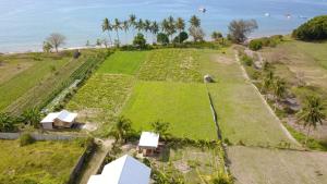 - une vue aérienne sur un champ à côté de la plage dans l'établissement The Daun Puntik HomeStay, à Pawenang