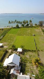 - une vue aérienne sur un champ et l'océan dans l'établissement The Daun Puntik HomeStay, à Pawenang