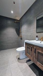 EikregardaneにあるHuso Mountain Lodge - Hemsedalのバスルーム(トイレ、洗面台、シャワー付)