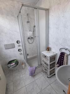 ein weißes Bad mit einer Dusche und einem Waschbecken in der Unterkunft Ferienwohnung Böttger in Dresden