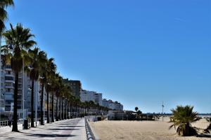 a beach lined with palm trees and buildings at Apartamento Puertomar in El Puerto de Santa María