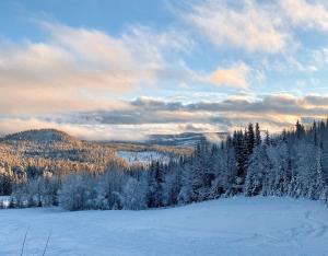 Fotografie z fotogalerie ubytování Huso Mountain Lodge - Hemsedal v destinaci Eikregardane
