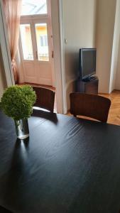 Czarny stół z wazonem z rośliną w obiekcie Terrific Tátra Apartment w Budapeszcie