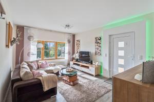 sala de estar con sofá y TV en Ferienwohnung im Naturpark Steinwald en Erbendorf