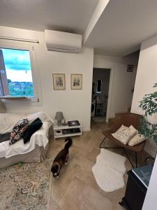 ein Wohnzimmer mit einer Katze auf dem Boden in der Unterkunft Prosecco's Hills House in Valdobbiadene
