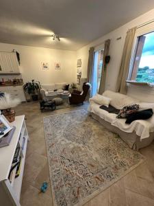 ein Wohnzimmer mit einem Sofa und einem Teppich in der Unterkunft Prosecco's Hills House in Valdobbiadene