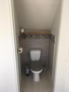 a small bathroom with a toilet in a small room at Au Bonheur de Cisse in Chouzy-sur-Cisse