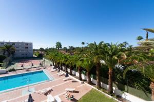 a view of the pool and palm trees at OASIS PLAYA DEL INGLES 324 by Homestaygrancanaria in San Bartolomé de Tirajana