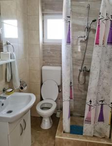y baño con aseo, lavabo y ducha. en Apartman Poljčić Višegrad, en Višegrad
