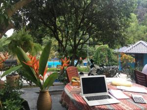 a laptop computer sitting on a table in a garden at Catba Papillon Garden Bungalows & Resort in Cat Ba