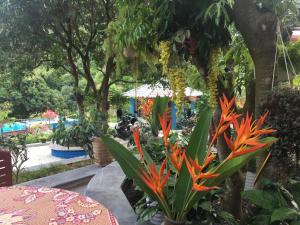 a garden with colorful plants and trees and a table at Catba Papillon Garden Bungalows & Resort in Cat Ba