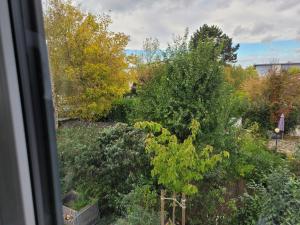 Κήπος έξω από το Lin's Place - Private Room with bath near Fair