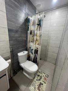 圖杜的住宿－圖杜潛水旅館，一间带卫生间和淋浴帘的浴室