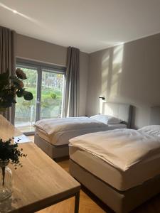 Fotografie z fotogalerie ubytování Hotel DRAŠ v Mariboru