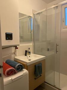 y baño con lavabo y ducha acristalada. en Charmant appartement au cœur du 11e arrondissement en París
