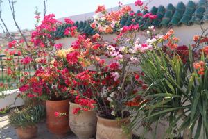 حديقة خارج Riad Batchisarai