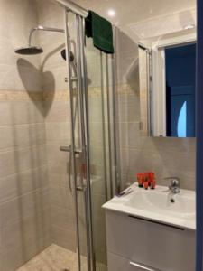 a bathroom with a shower and a sink at La maison du Cèdre in Châteauneuf-Val-de-Bargis
