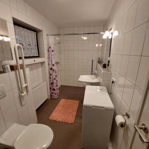 a bathroom with a toilet and a sink at Großzügige Wohnung mit Terrasse Würzburg, Zell in Zell am Main