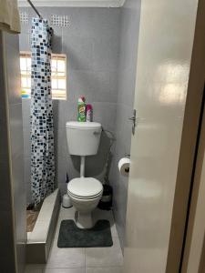a small bathroom with a toilet and a shower at Furnished self catering cottage in Lusaka