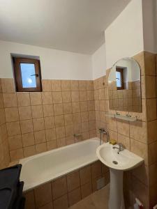 a bathroom with a sink and a bath tub and a sink at 2BR Cosy Apart in Satu Mare